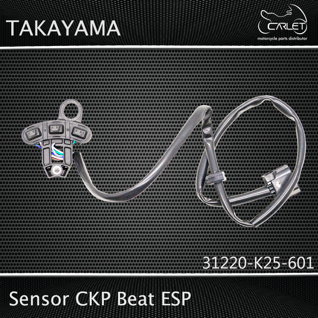 Takayama Sensor K25 CKP Beat ESP / Pop (3T)